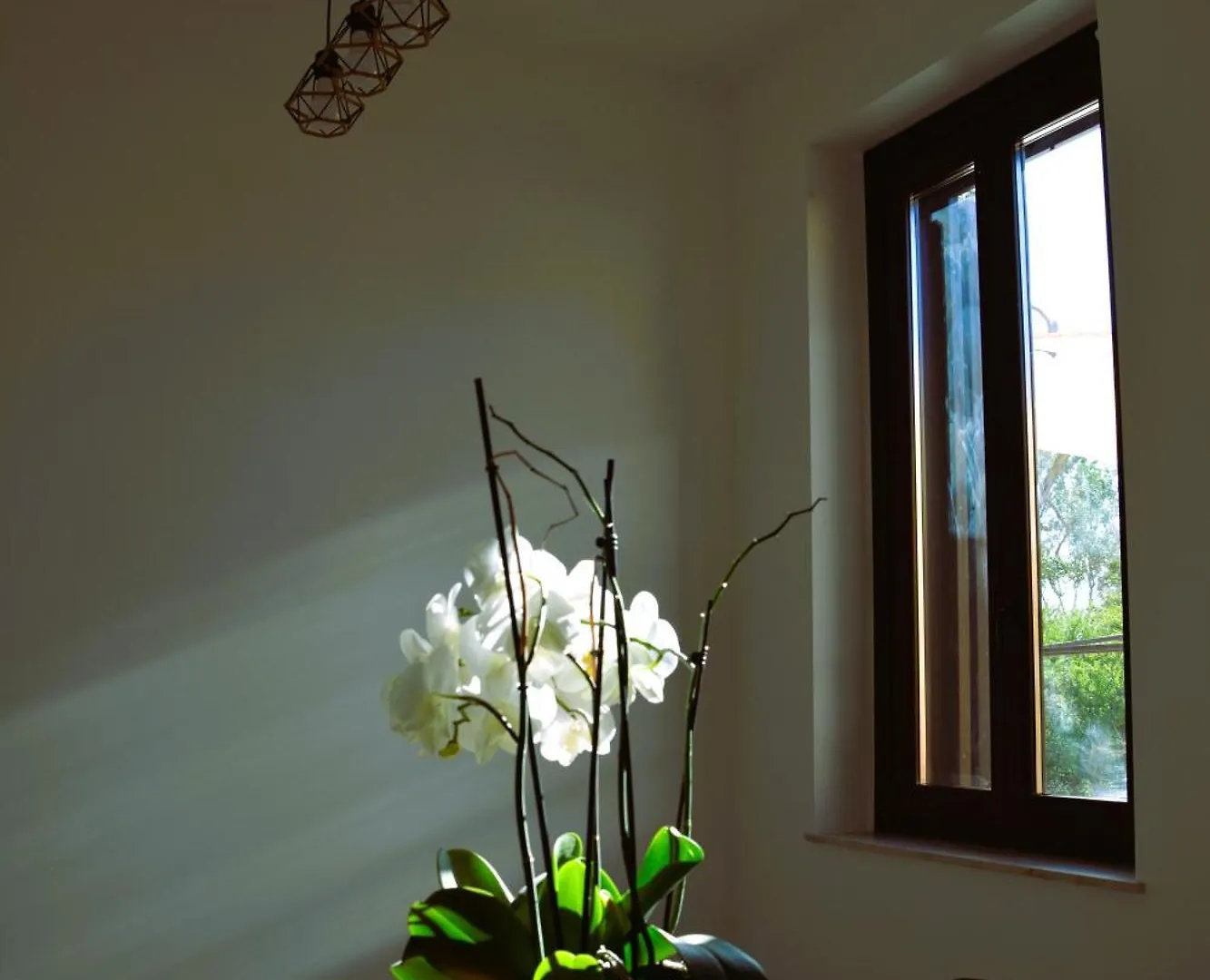 La Casa Nel Tempio Apartment Agrigento 0*,
