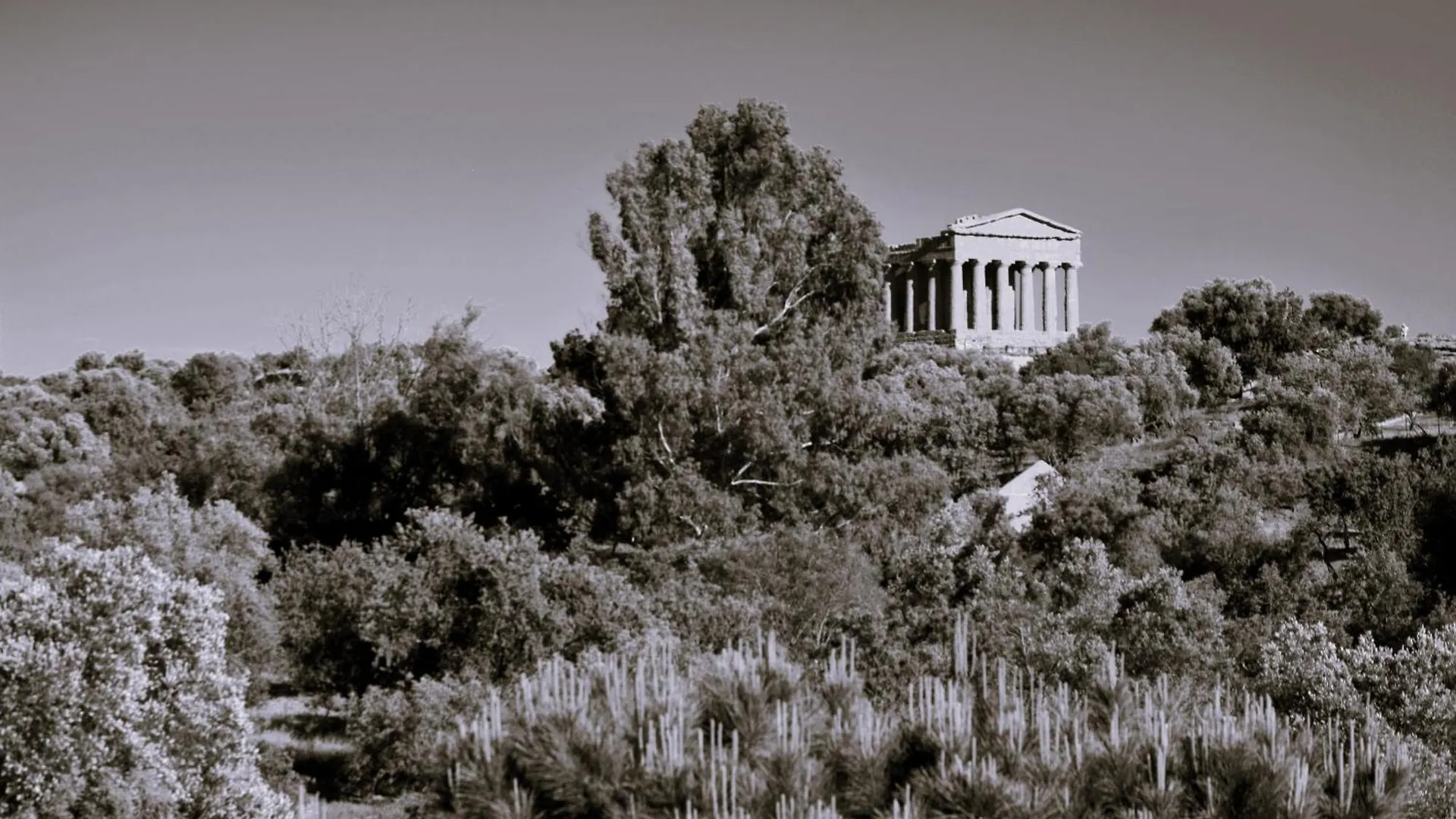 La Casa Nel Tempio Apartment Agrigento Italy